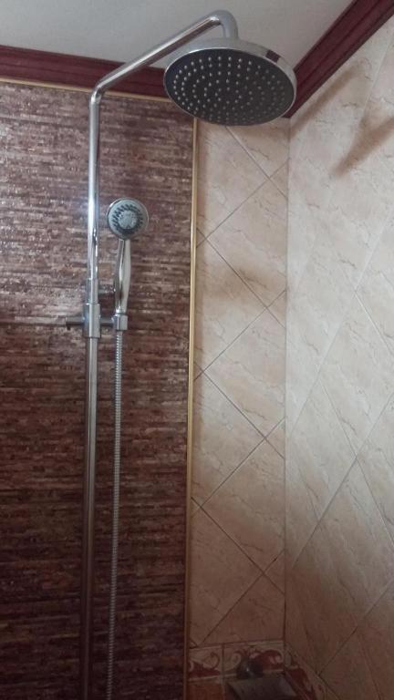 شاليه سويس آنغلوس المظهر الخارجي الصورة